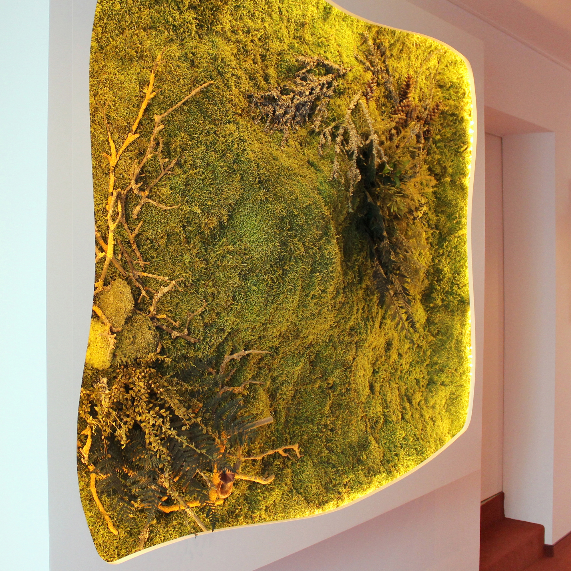 Display product Greenwood Extra from manufacturer Freund