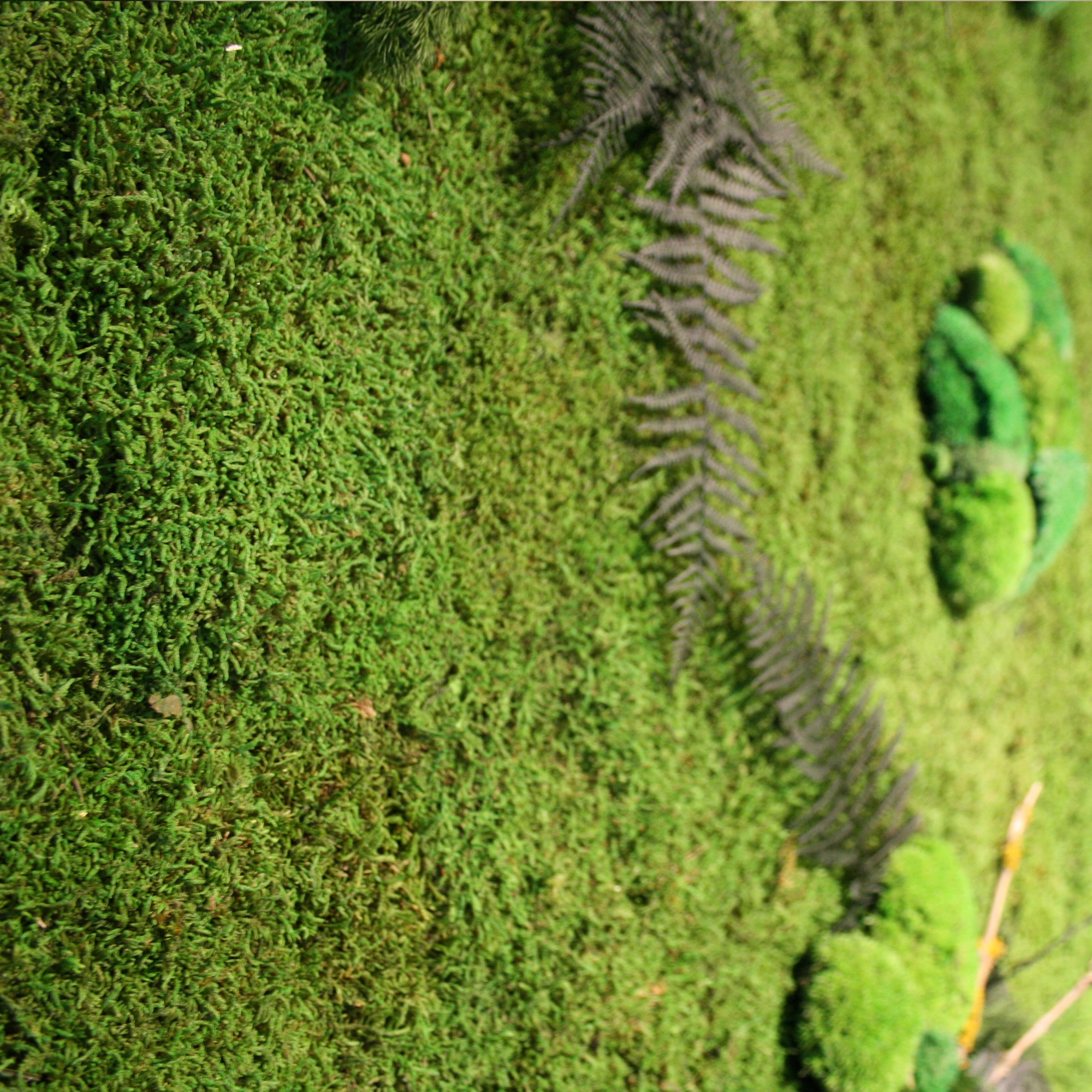 Display product Greenwood Extra from manufacturer Freund