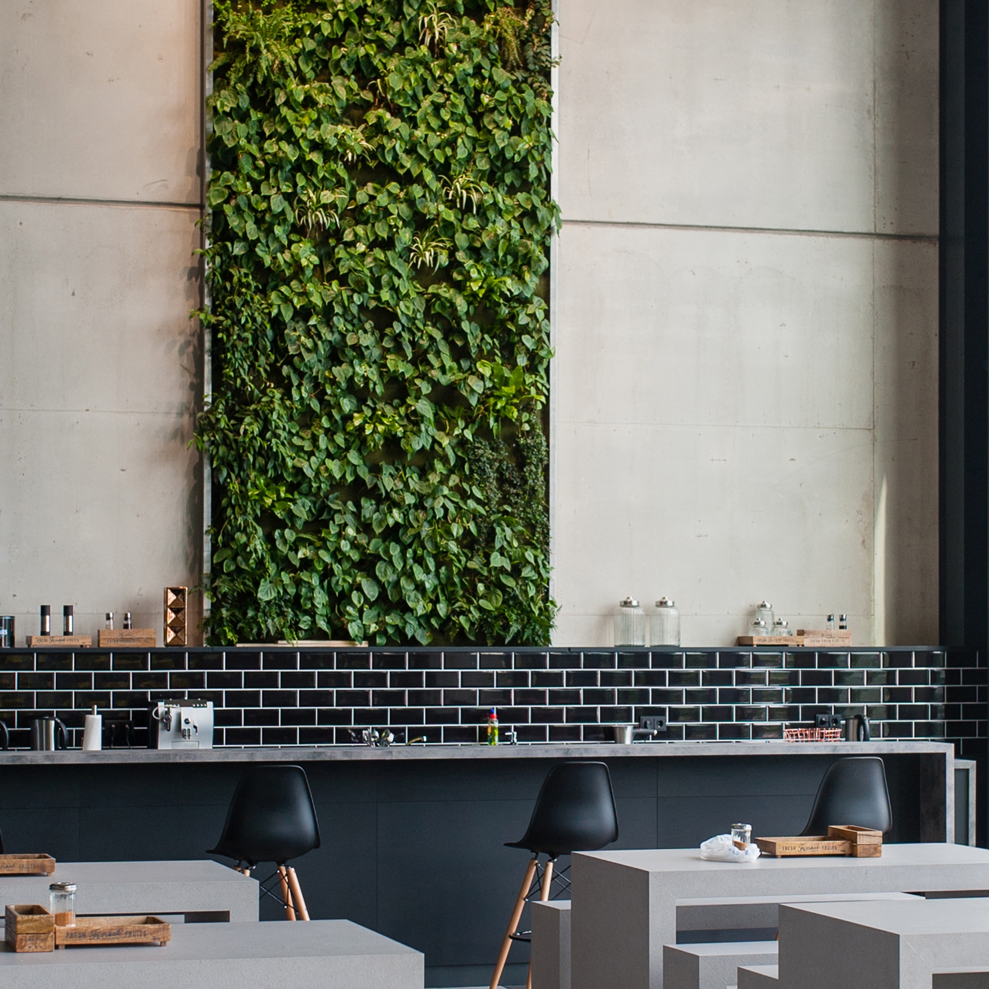 Display product Live Panel vertical garden from manufacturer Freund