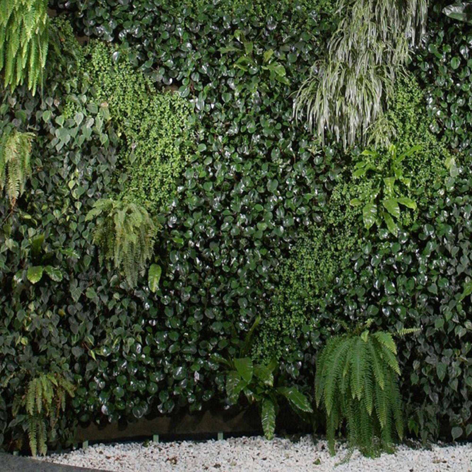 Display product Live Panel vertical garden from manufacturer Freund