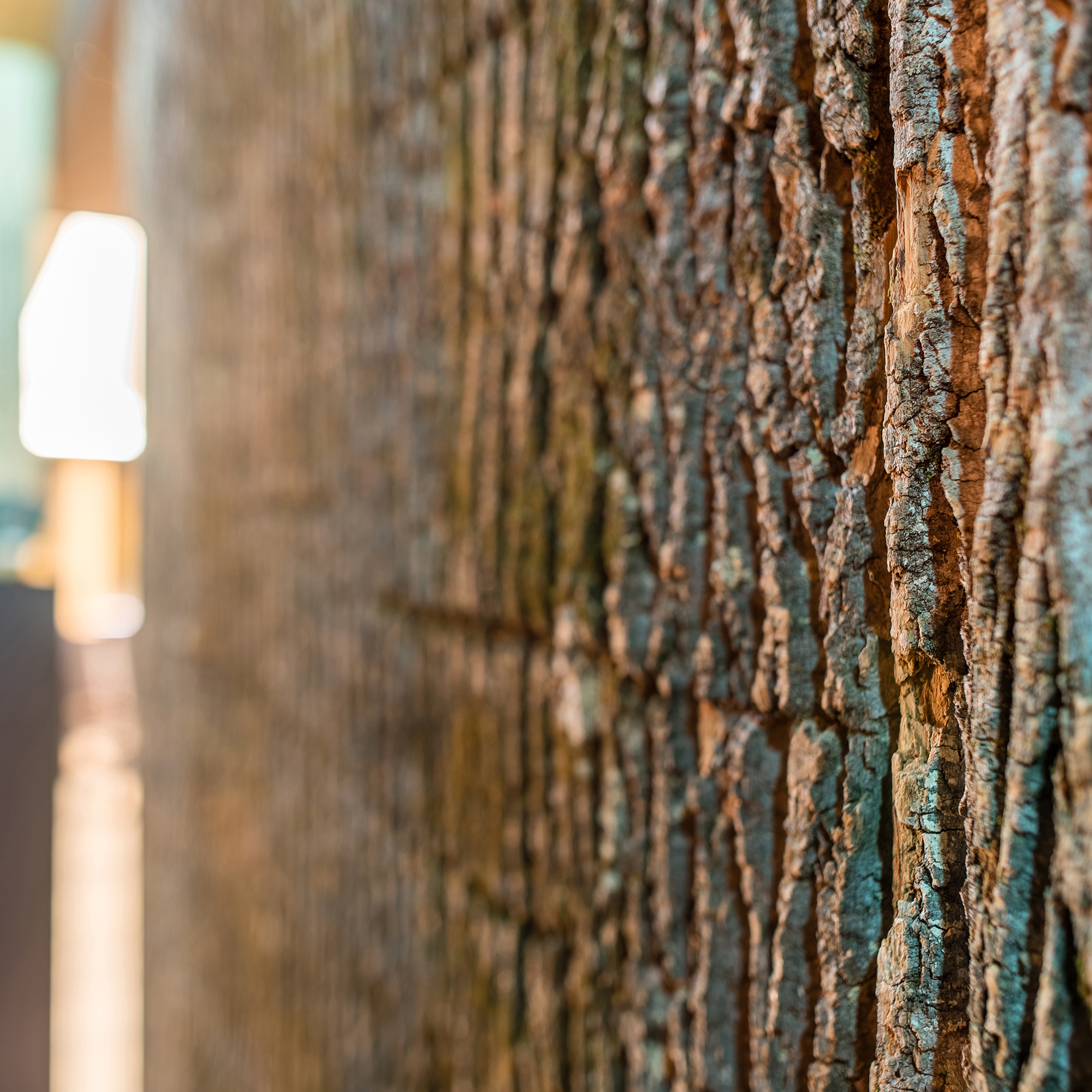 Mostrar el producto Bark House® Poplar Bark Wall Panels del fabricante Freund