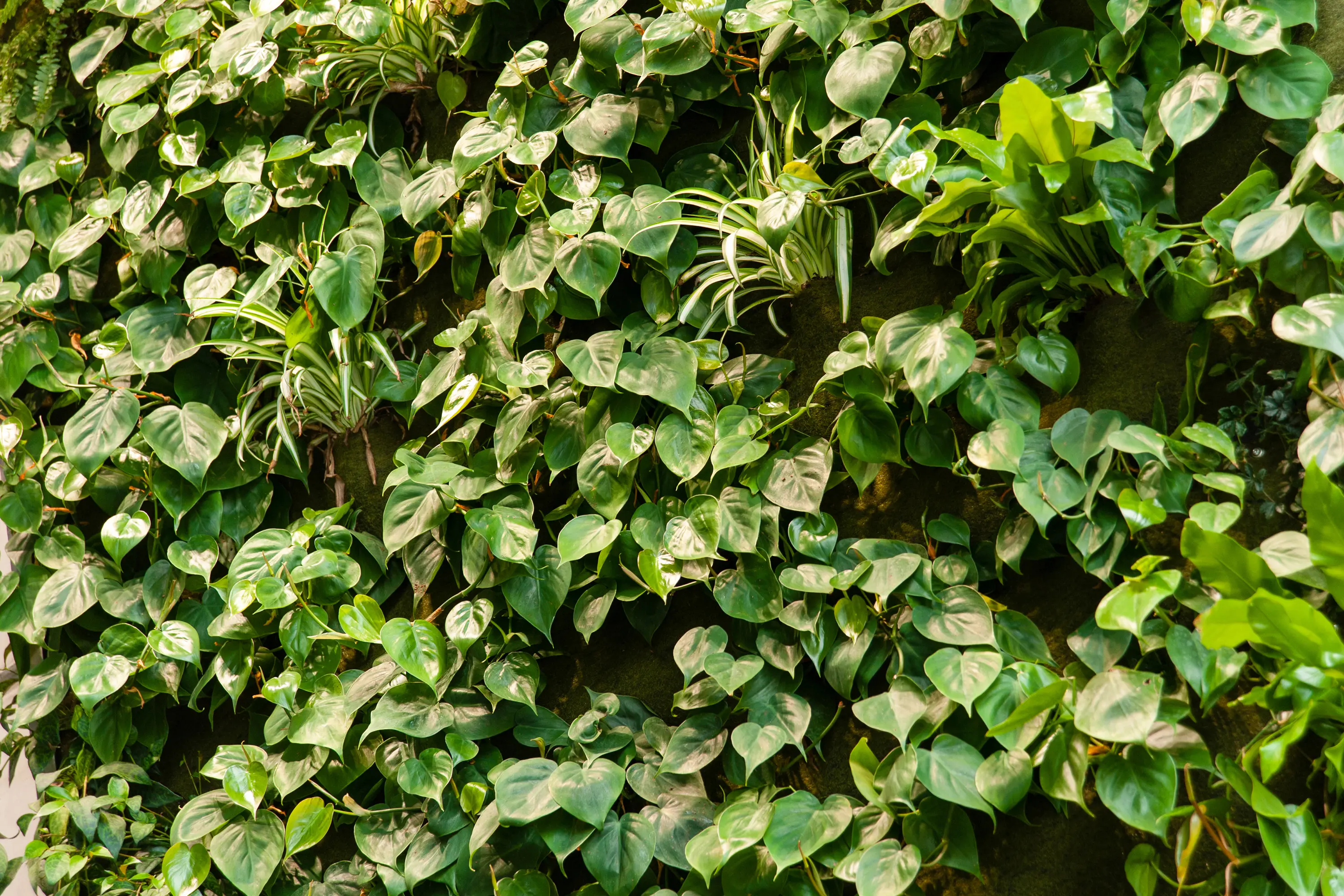Freund - Live Panel vertical garden