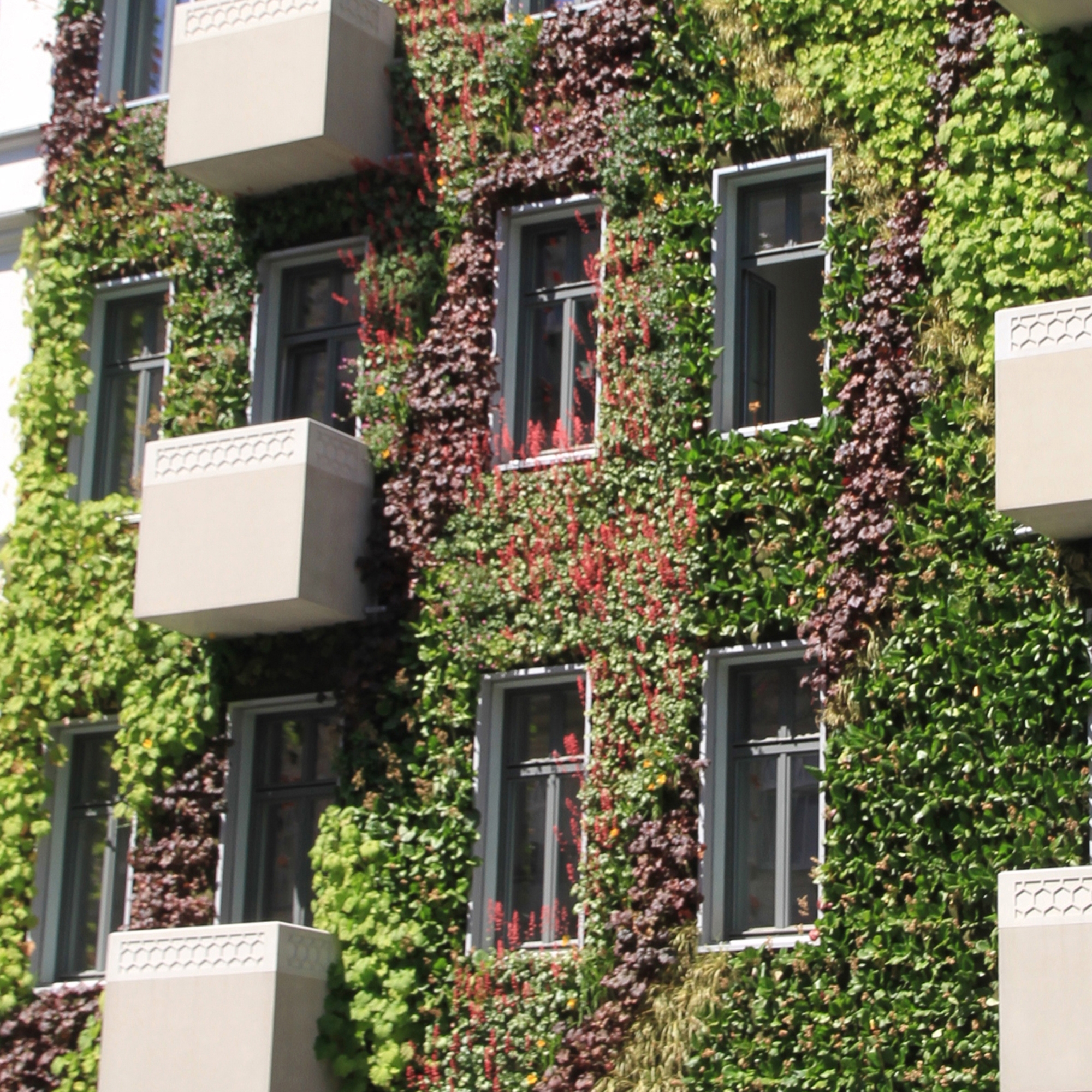 Display product Live Panel vertical garden from manufacturer Freund