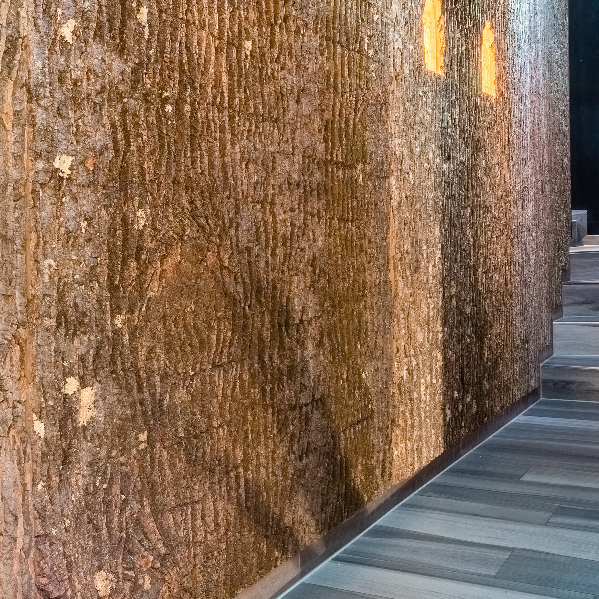 Display product Bark House® Poplar Bark Wall Panels from manufacturer Freund