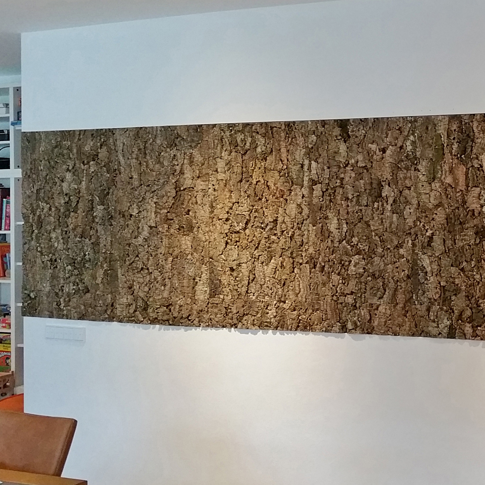 Display product Cork bark from manufacturer Freund