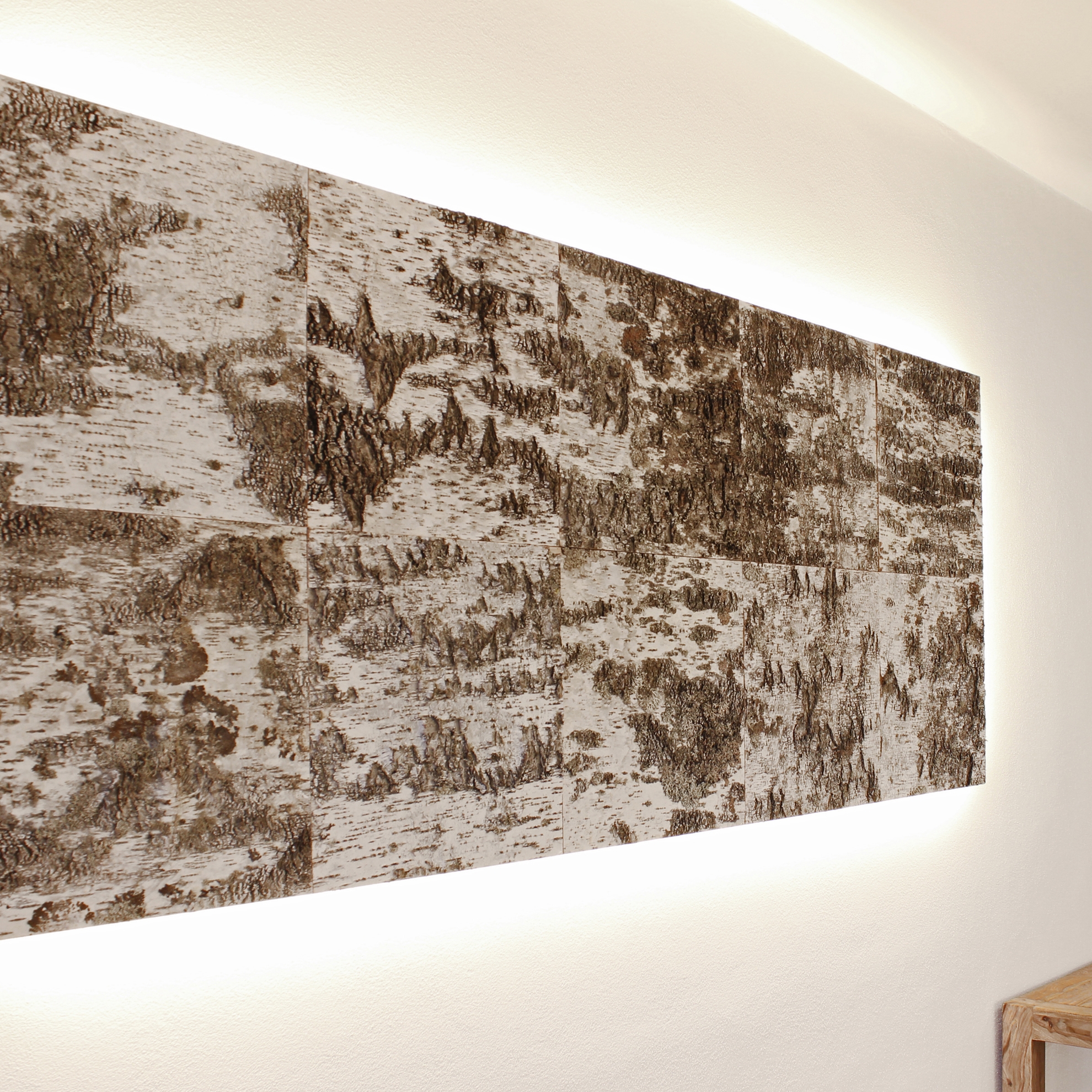 Mostrar el producto Birch bark del fabricante Freund