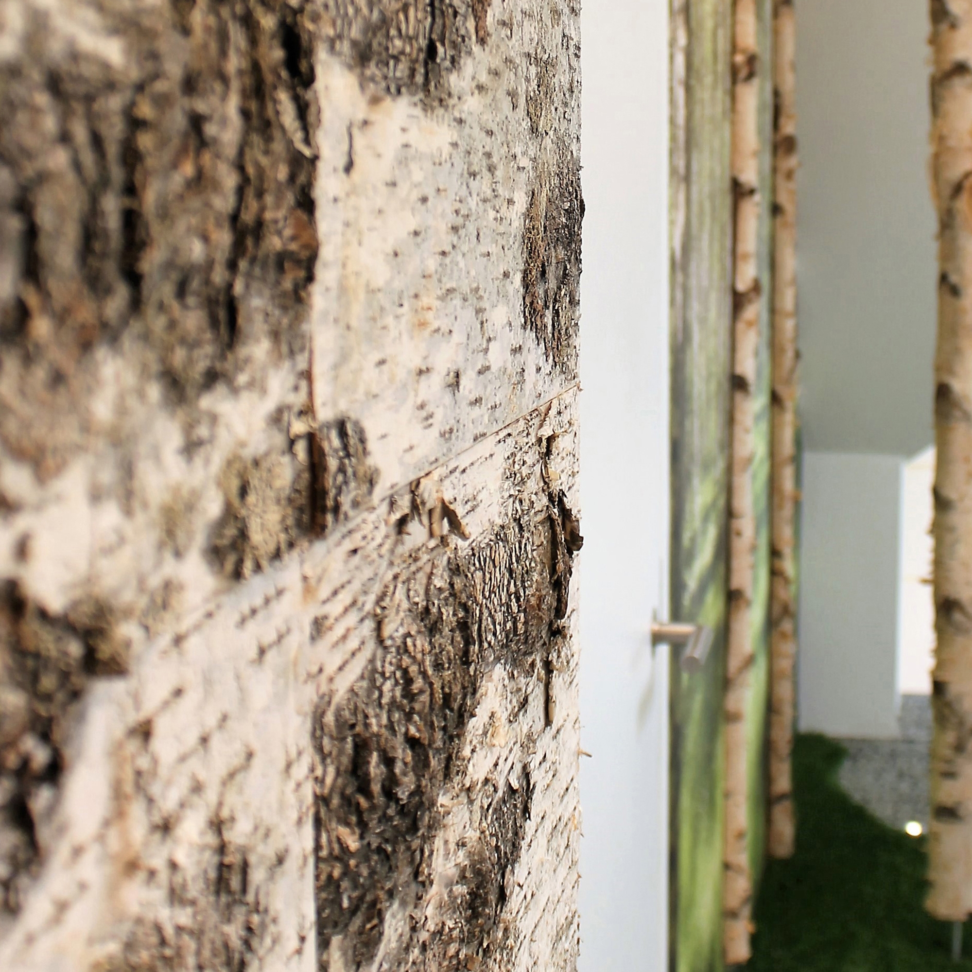 Mostrar el producto Birch bark del fabricante Freund