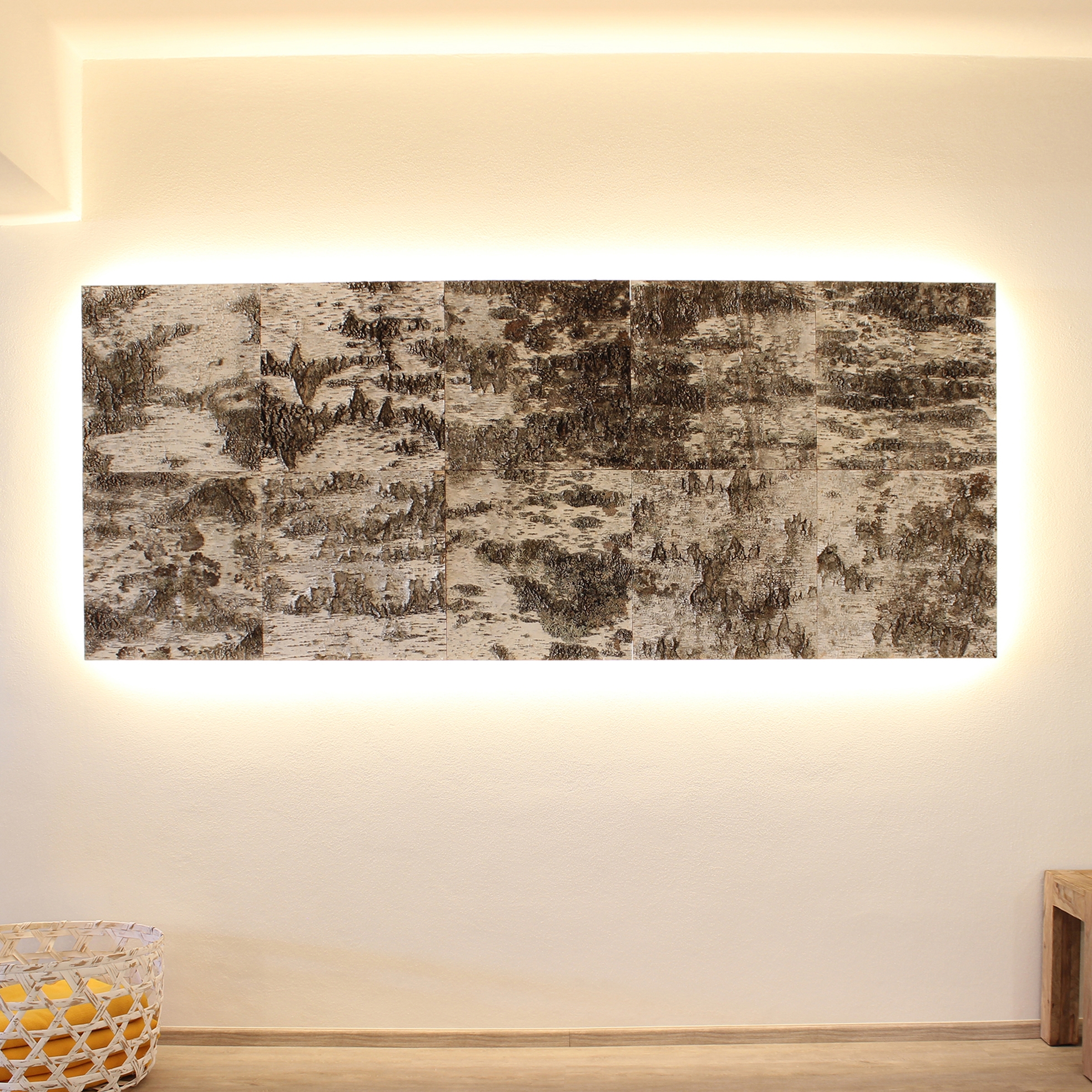 Display product Birch bark from manufacturer Freund