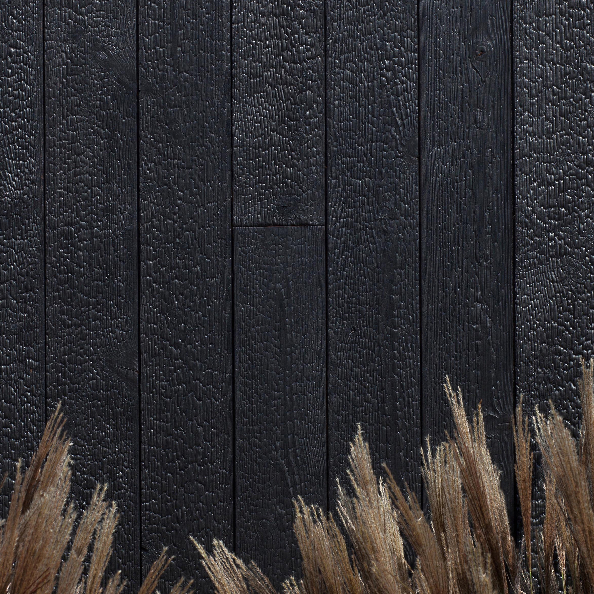 Mostrar el producto Magma del fabricante Freund