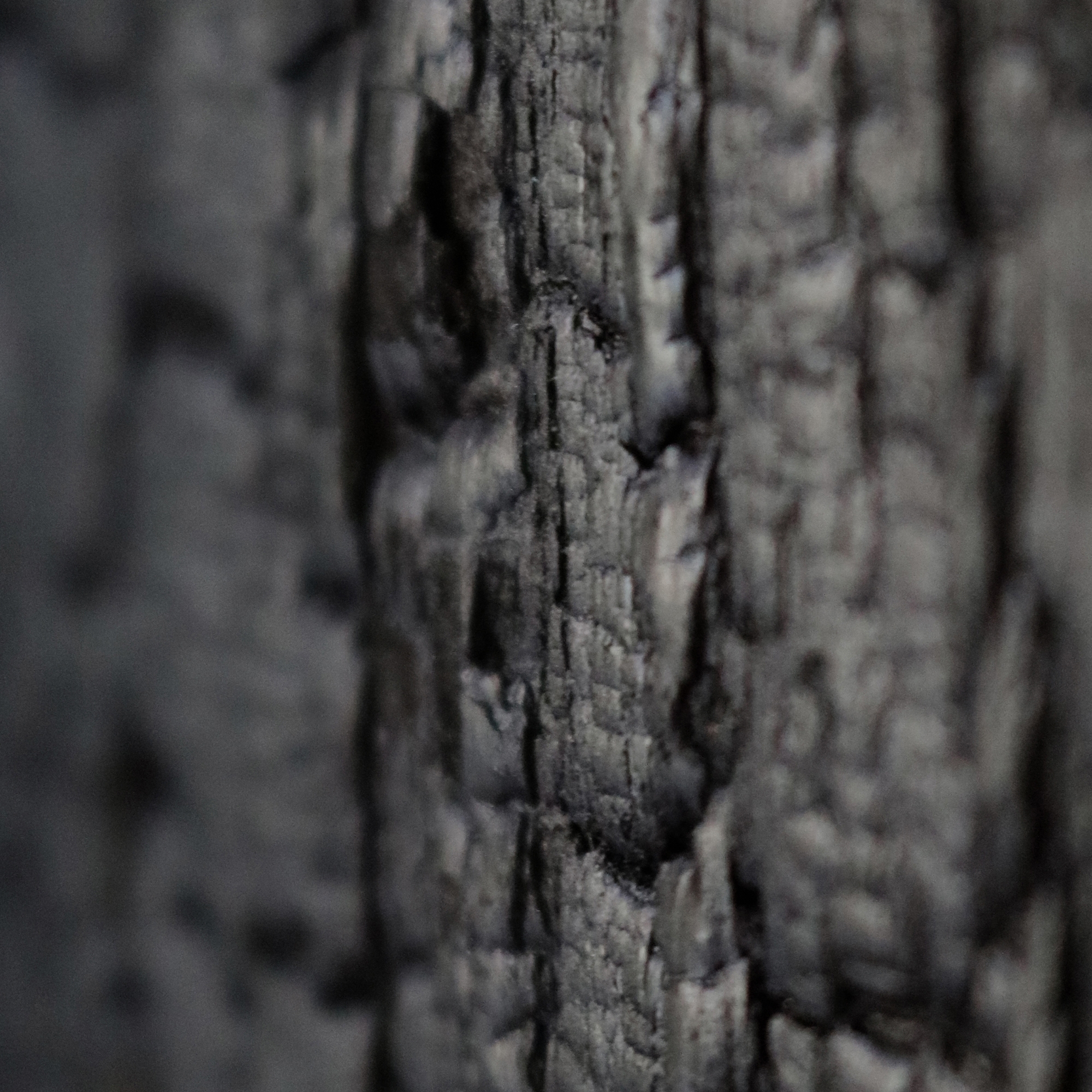 Mostrar el producto Magma del fabricante Freund