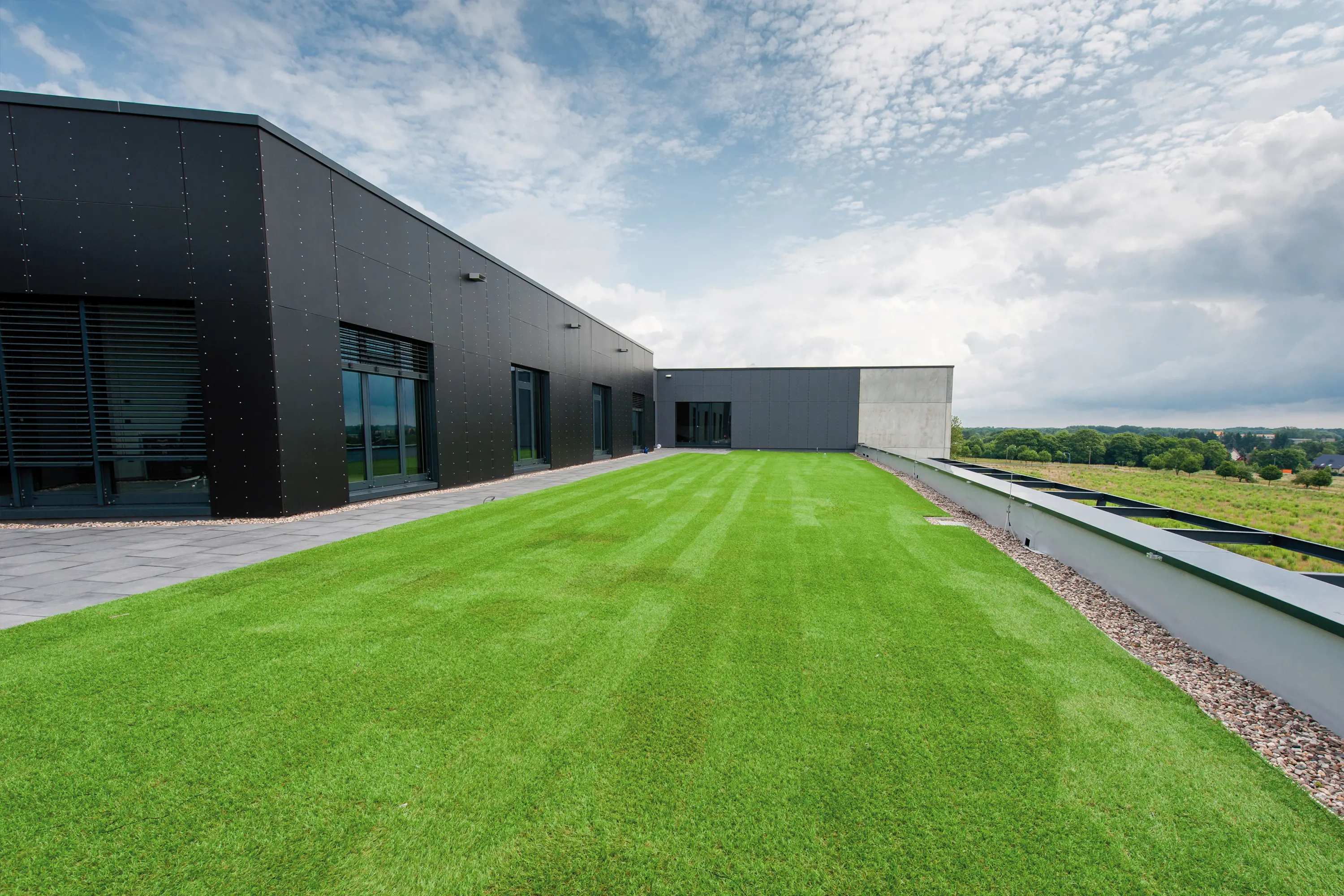 Freund - Artificial turf
