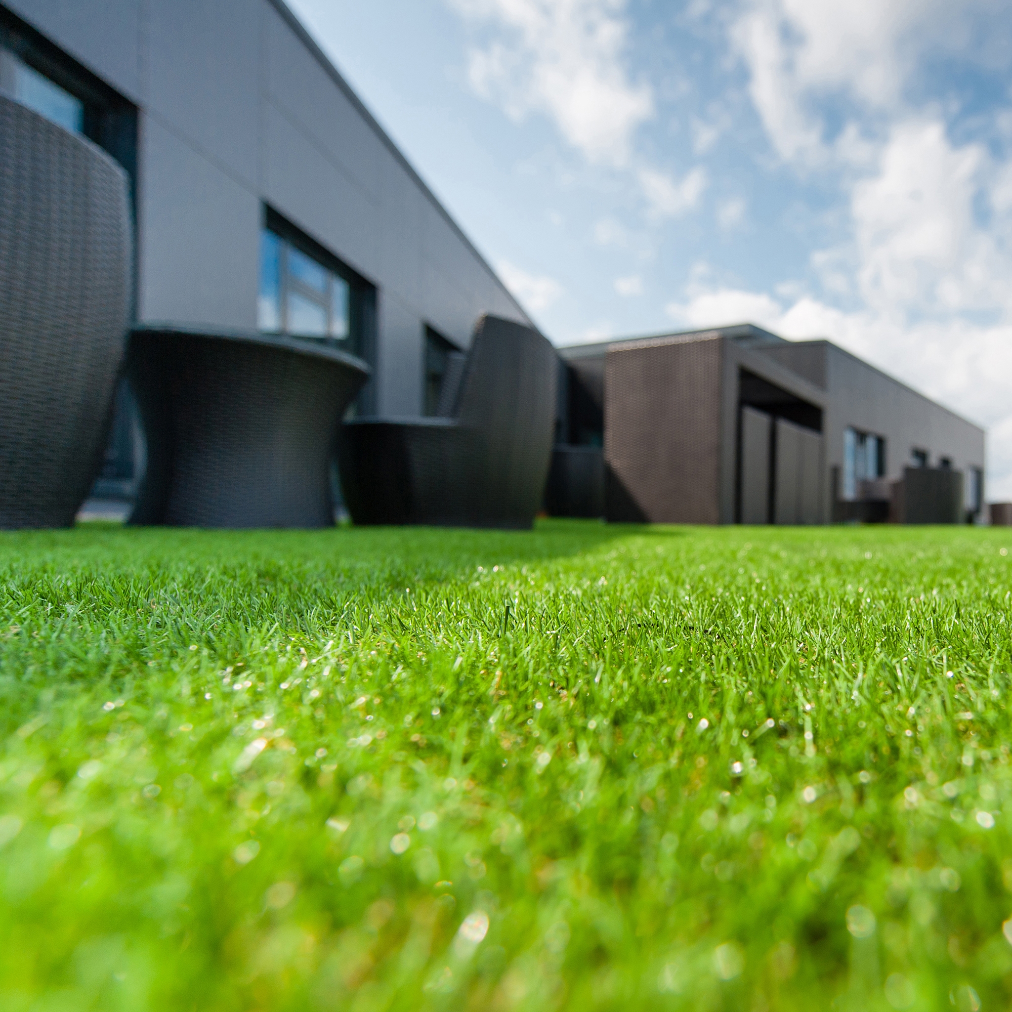 Mostrar el producto Artificial turf del fabricante Freund