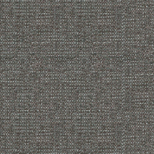 Pina 900 3