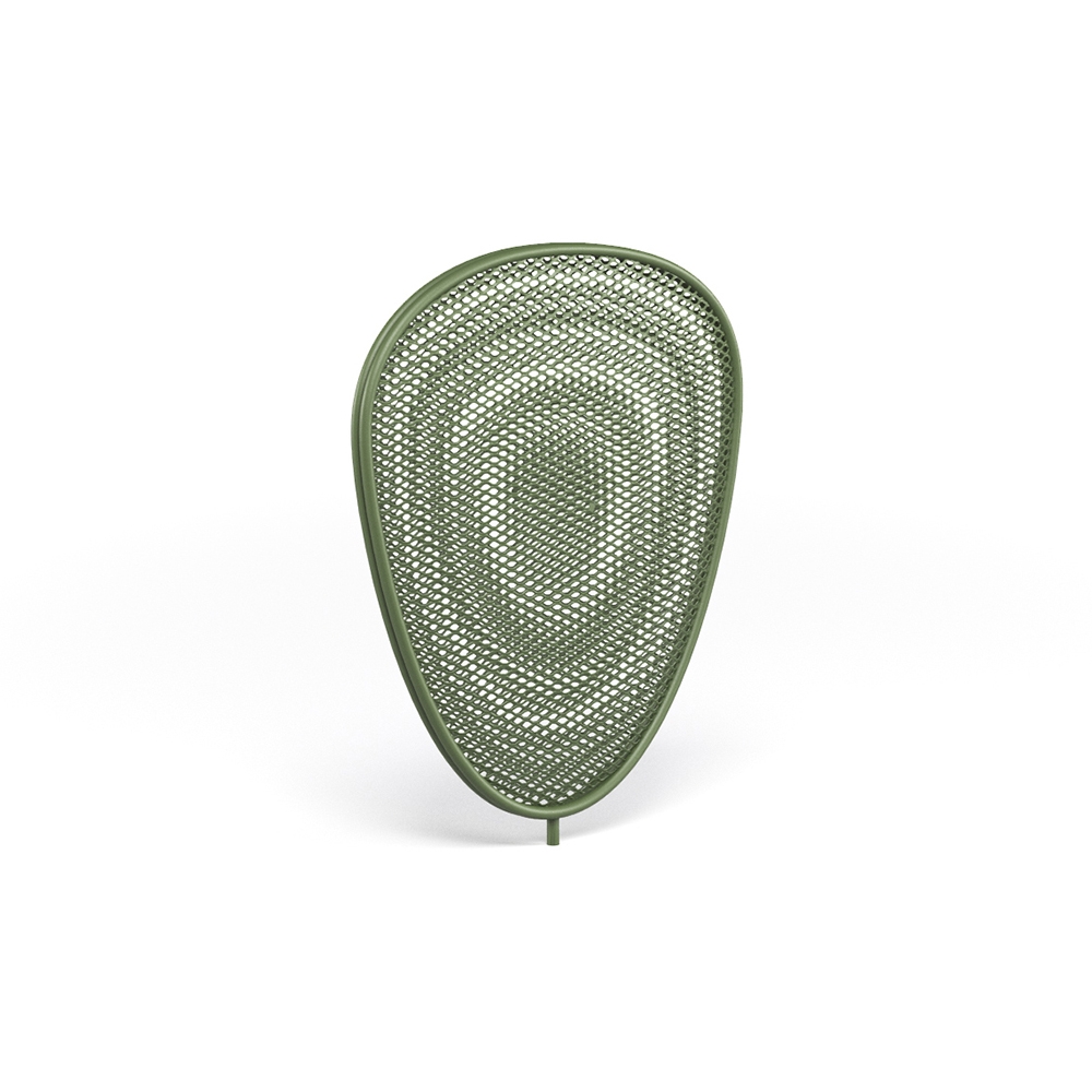 Ficus Jolly leaf | 1232
