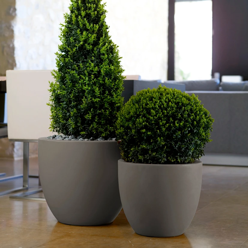 PLANTERS