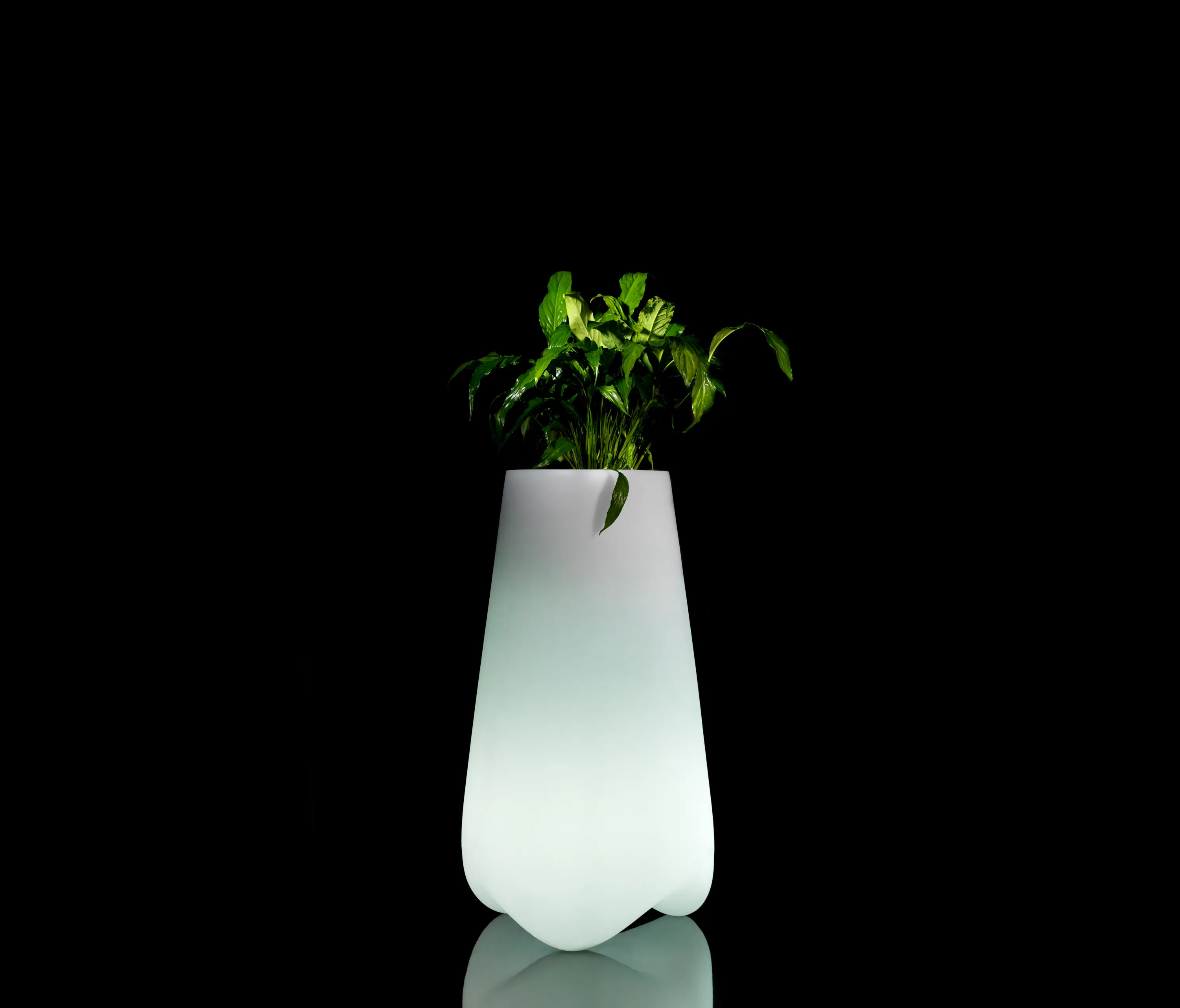 Vondom - Vlex pot