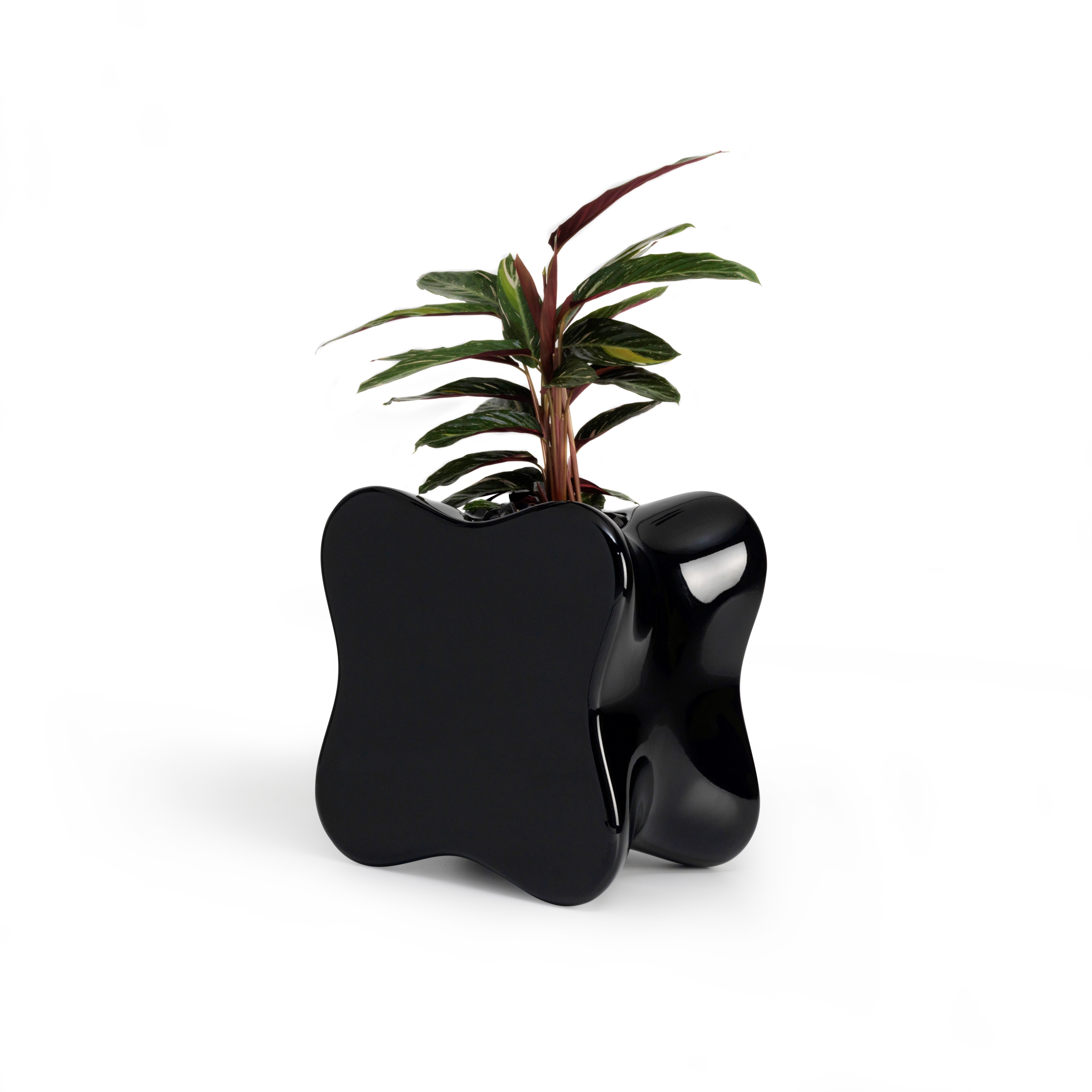 Mostrar el producto Pal maceta del fabricante Vondom