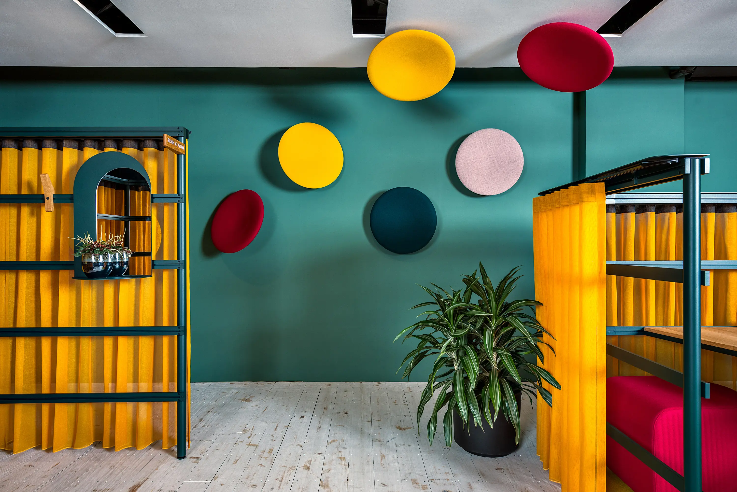 BuzziSpace - BuzziDish