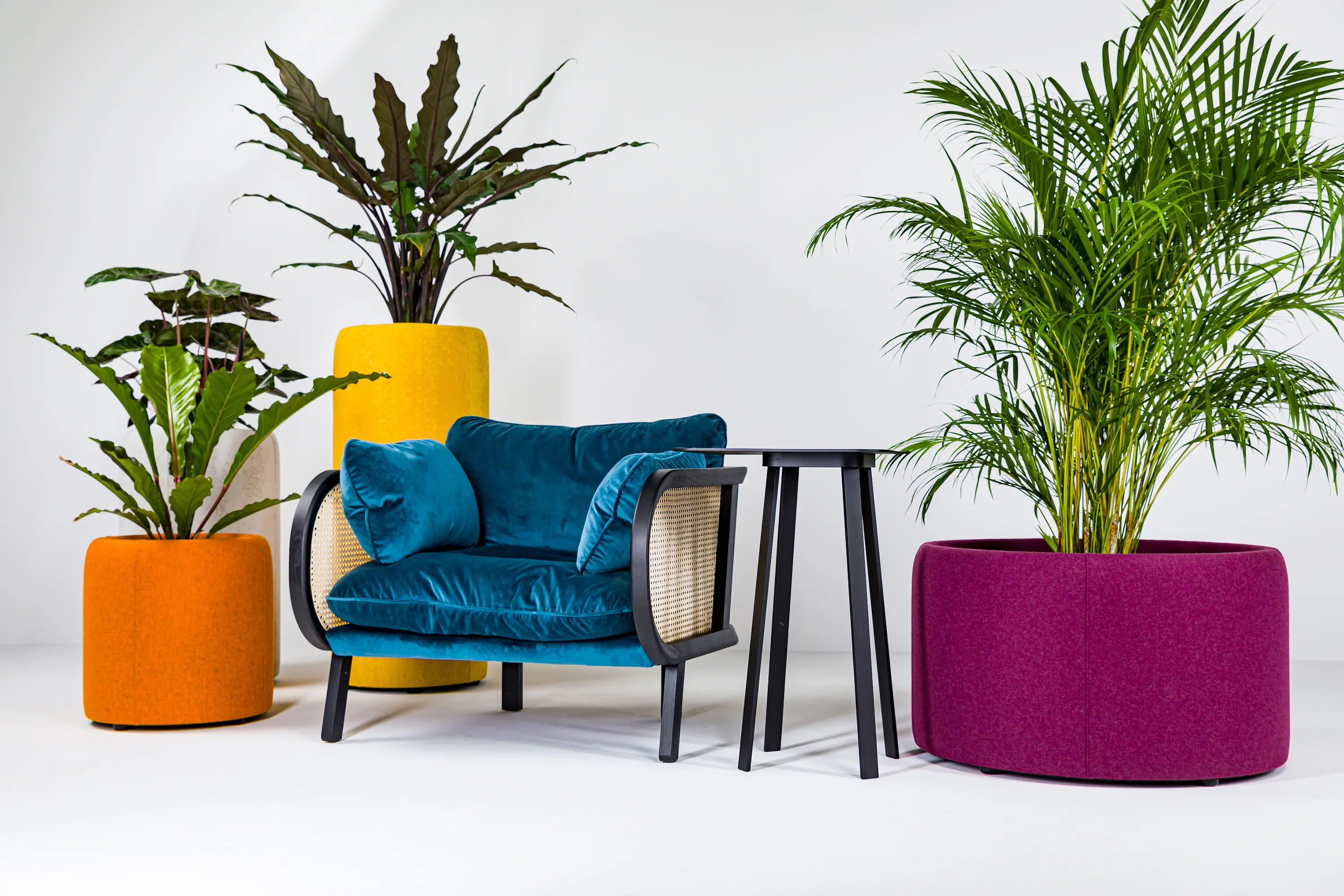 BuzziSpace - BuzziPlanter