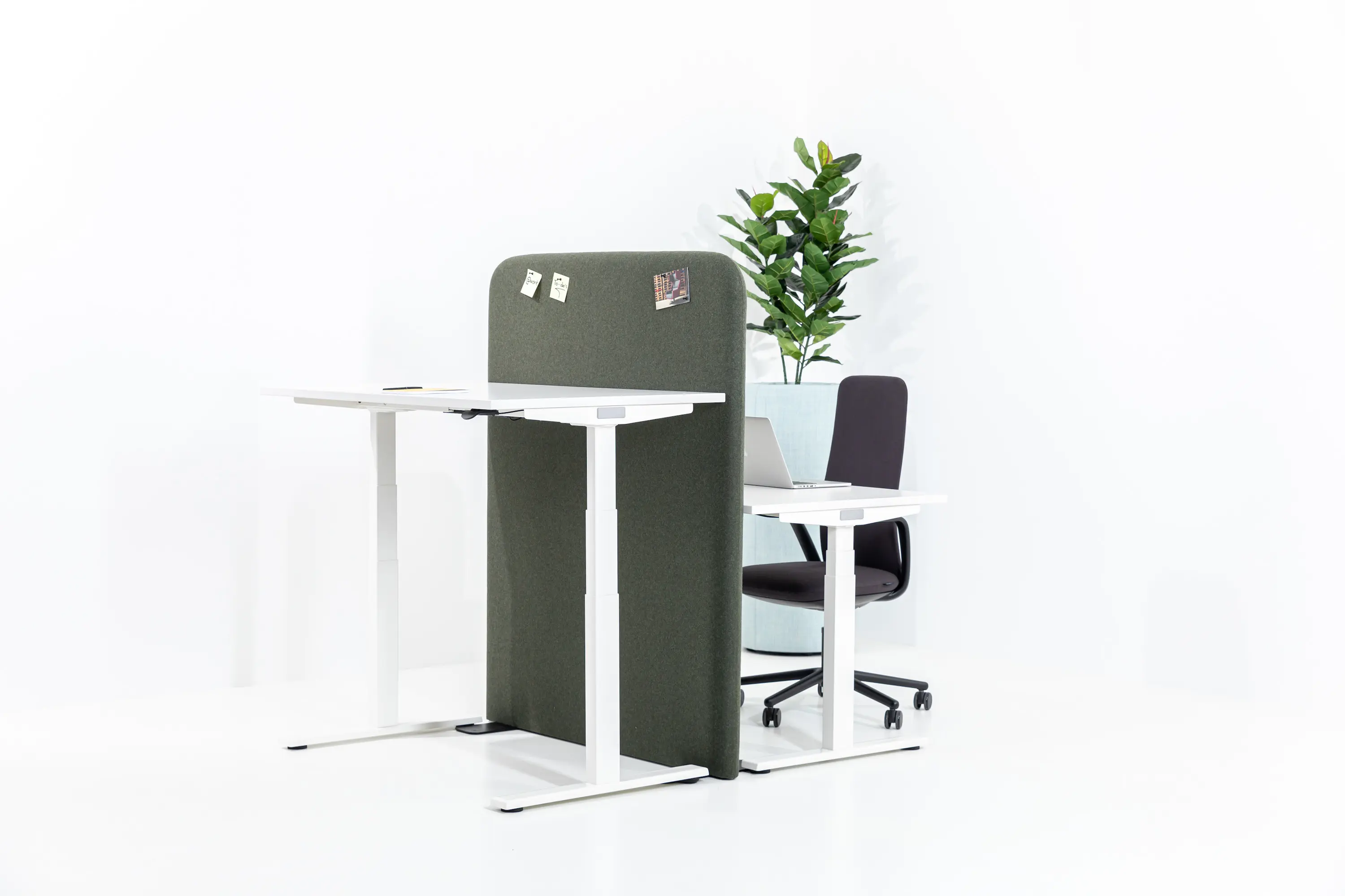 BuzziSpace - BuzziShield Free