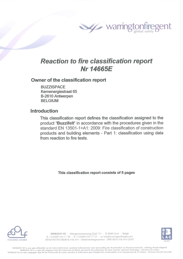 Preview image for the file 1699627721-buzzispace-14665-fire-classification-report-4