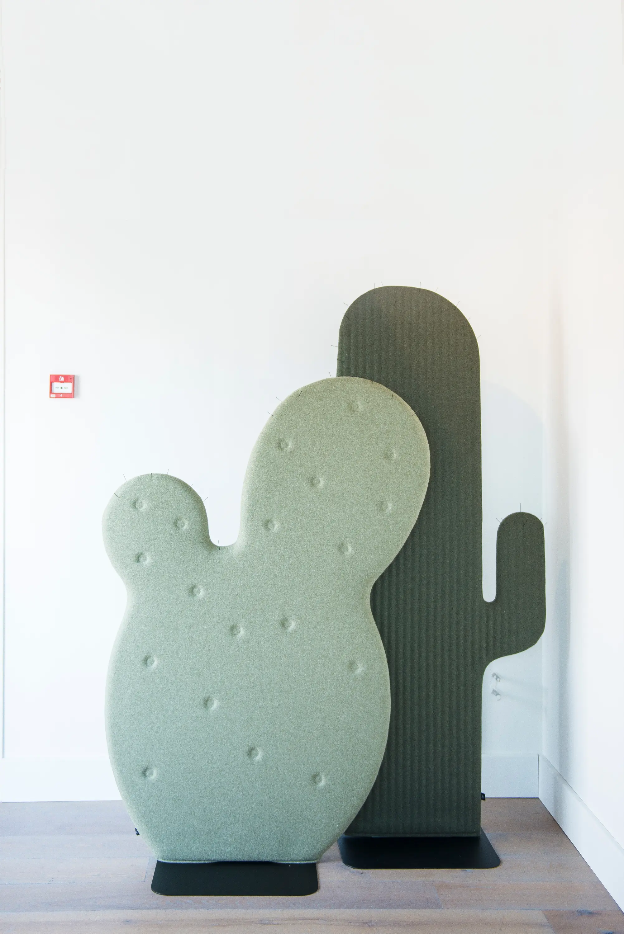 BuzziSpace - BuzziCactus