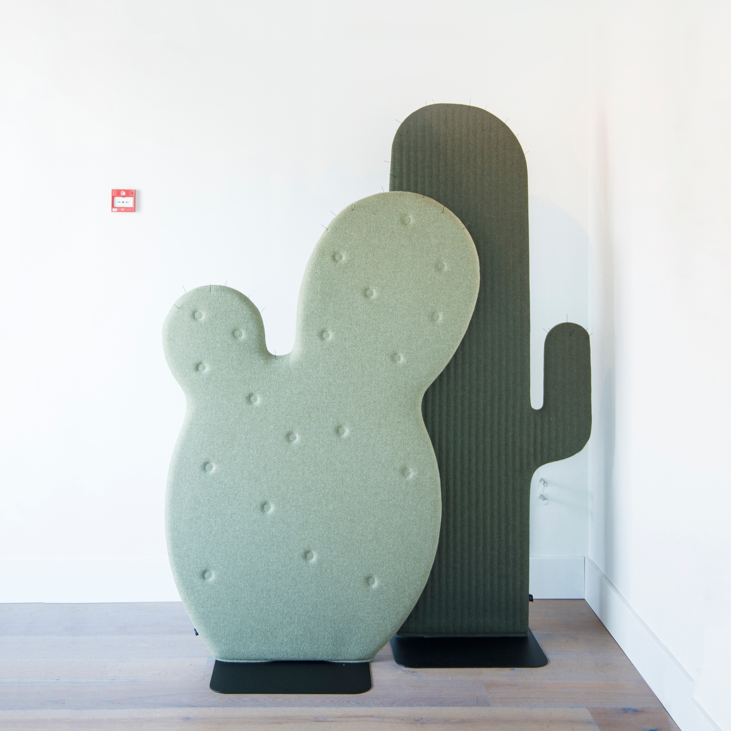 Mostra il prodotto BuzziCactus del produttore BuzziSpace