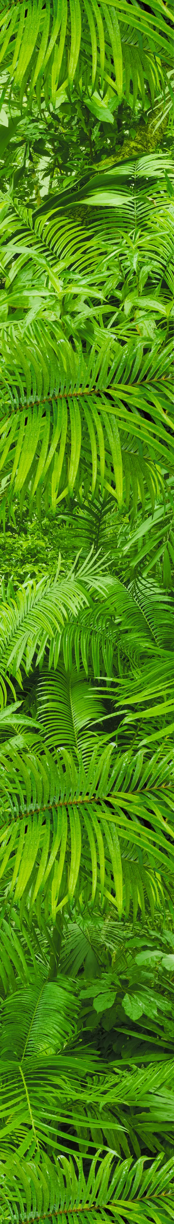 BuzziSpace - BuzziSkin Printed