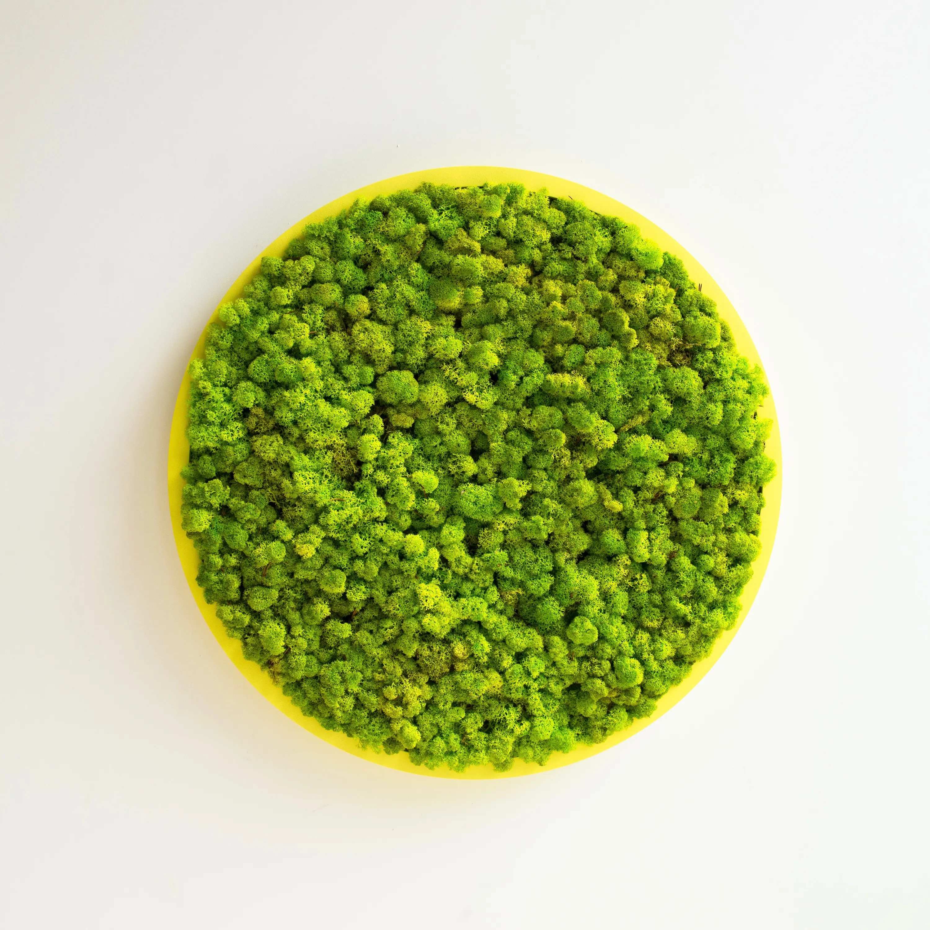 BuzziSpace - BuzziMood