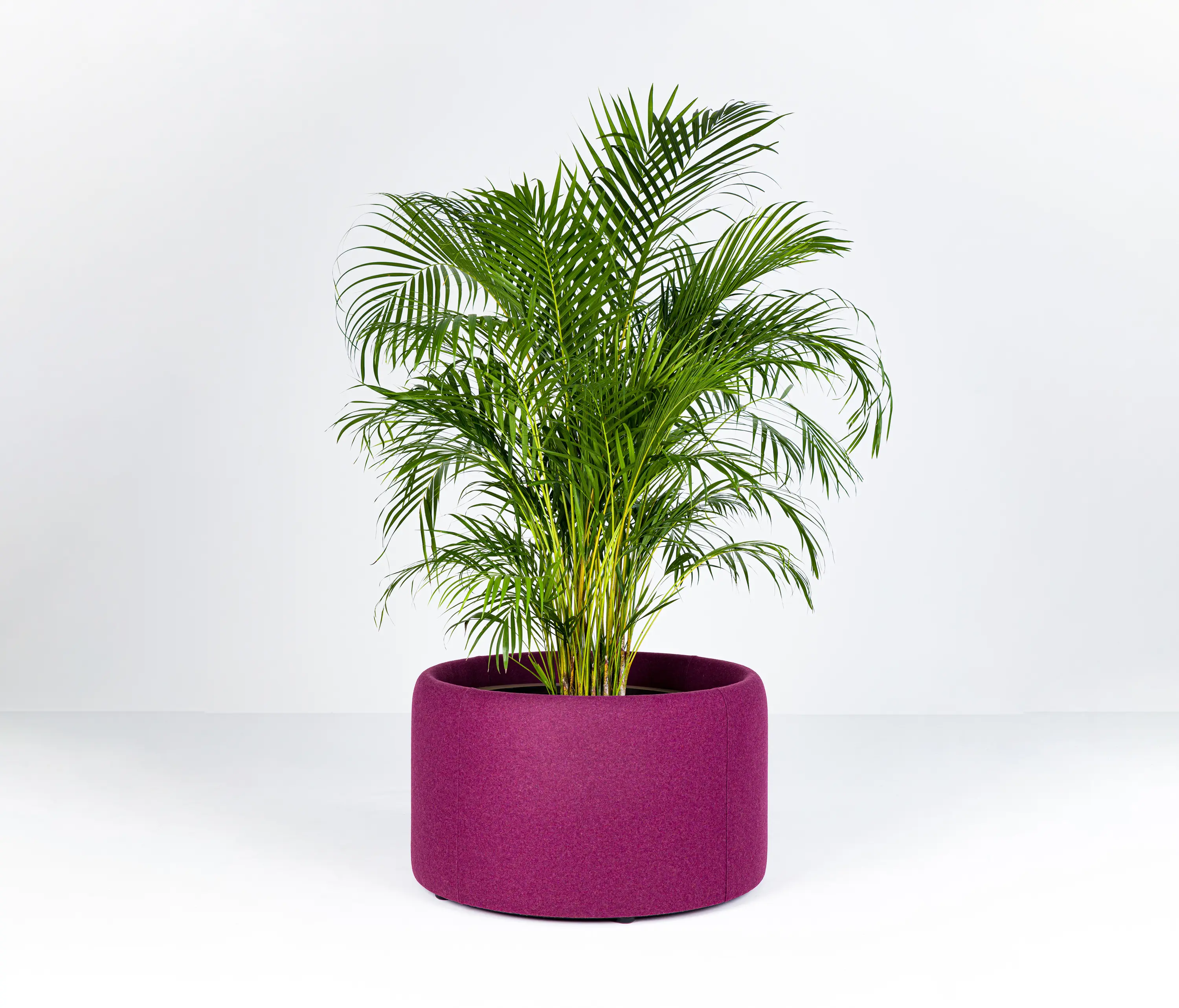 BuzziSpace - BuzziPlanter