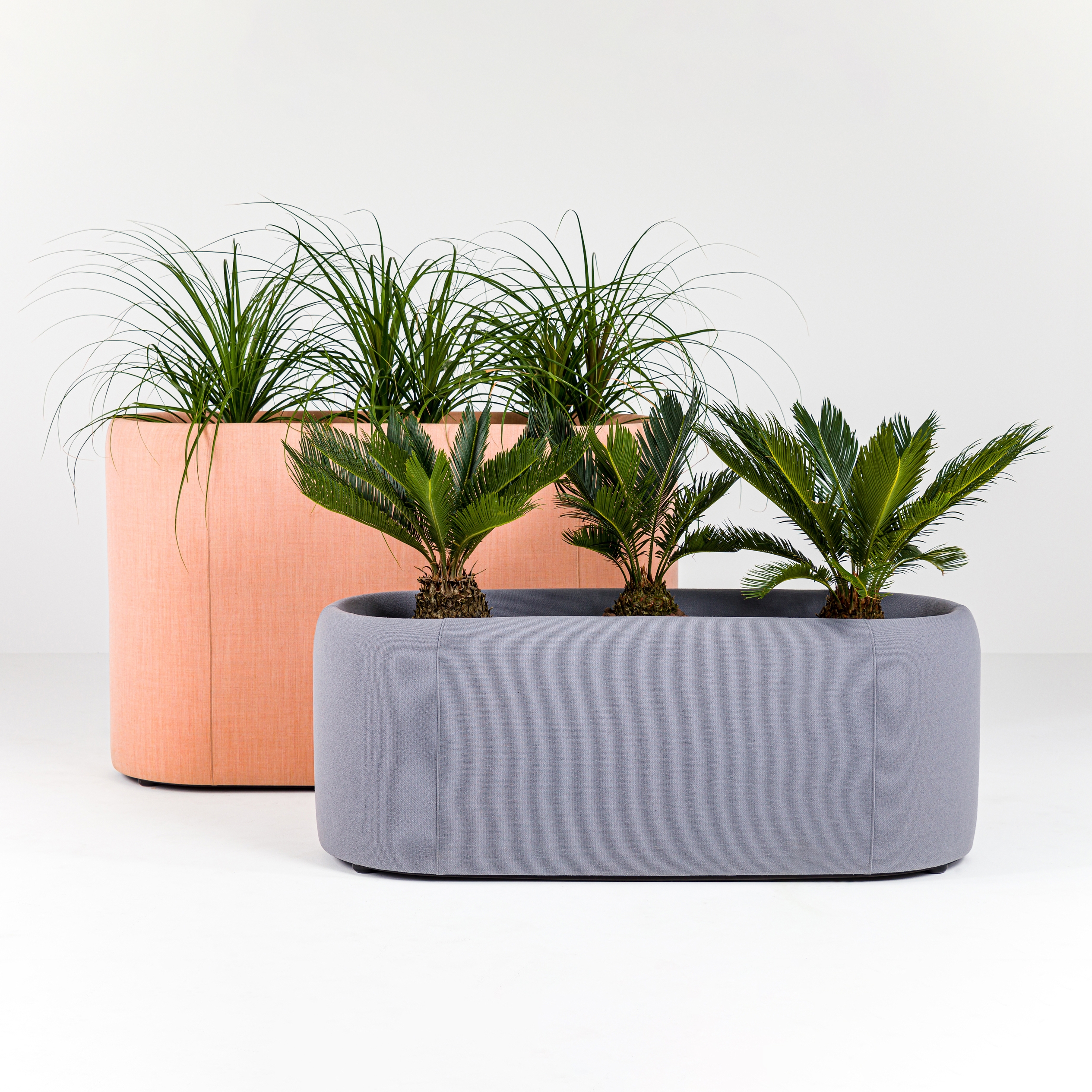 Display product BuzziPlanter from manufacturer BuzziSpace