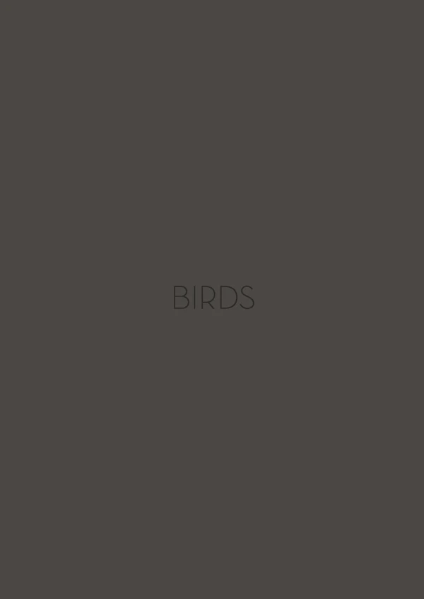 Immagine di anteprima del file Birds
