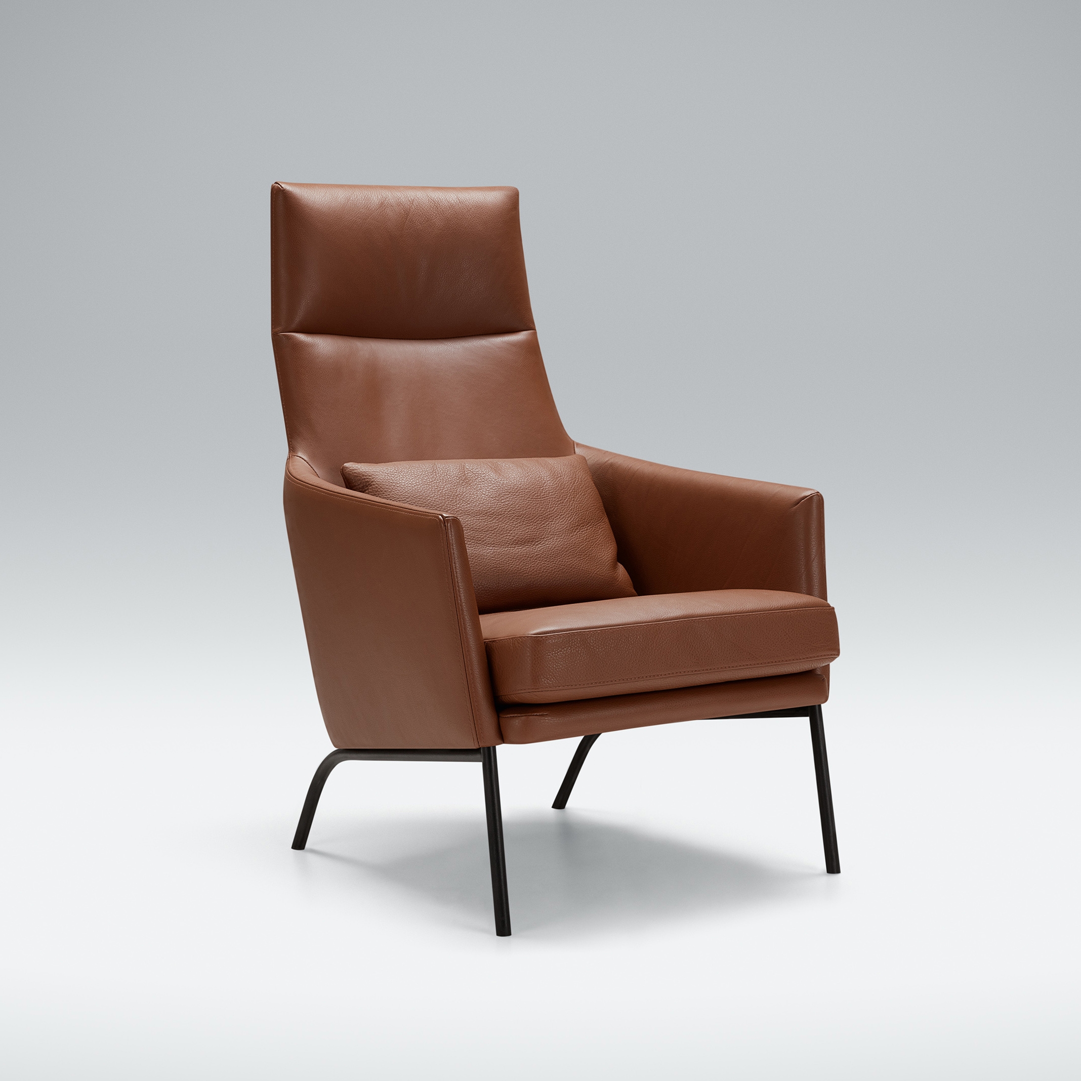 Mostrar el producto Siri del fabricante SITS