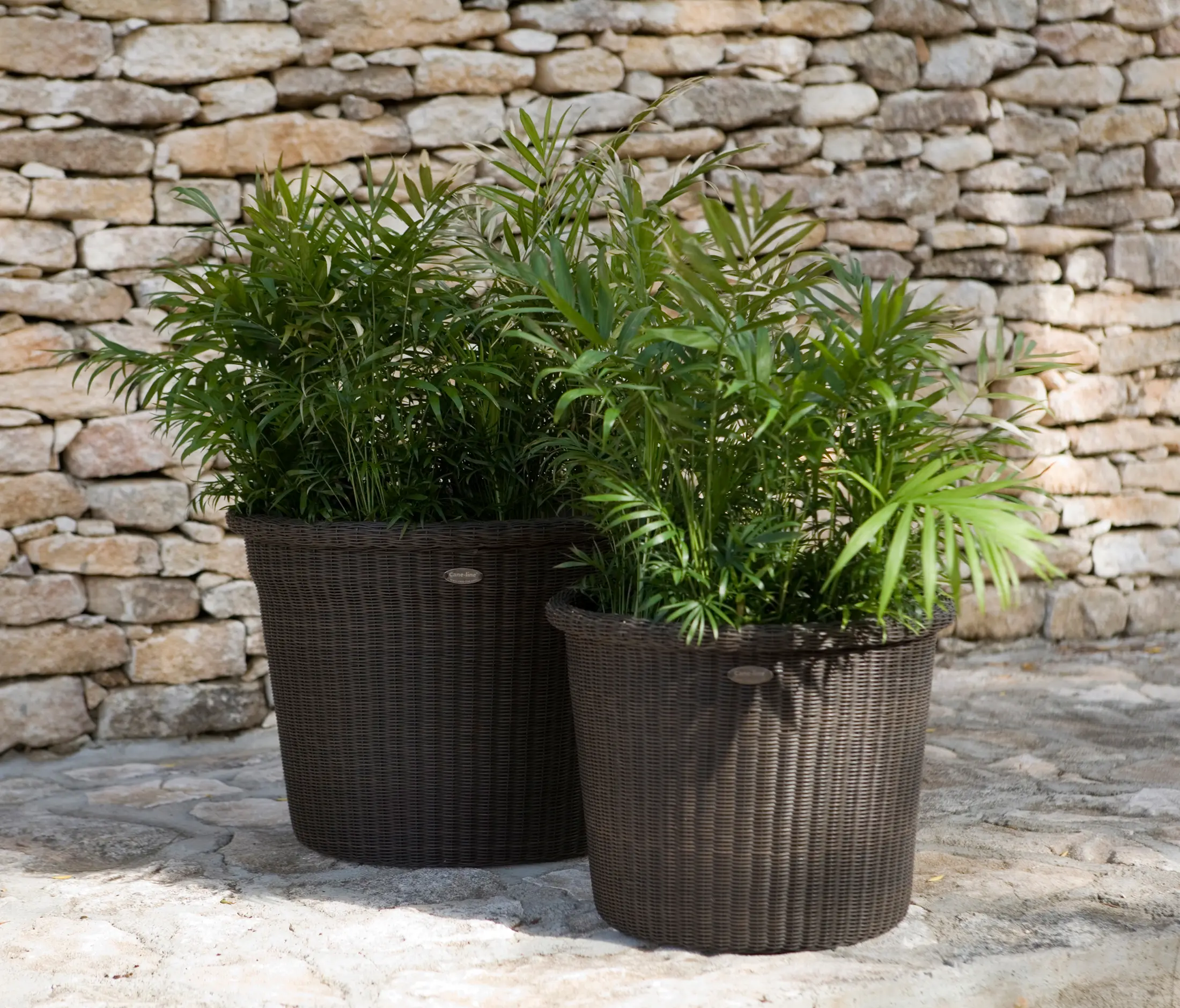 Cane-line - Botanic Pot Moccafrit