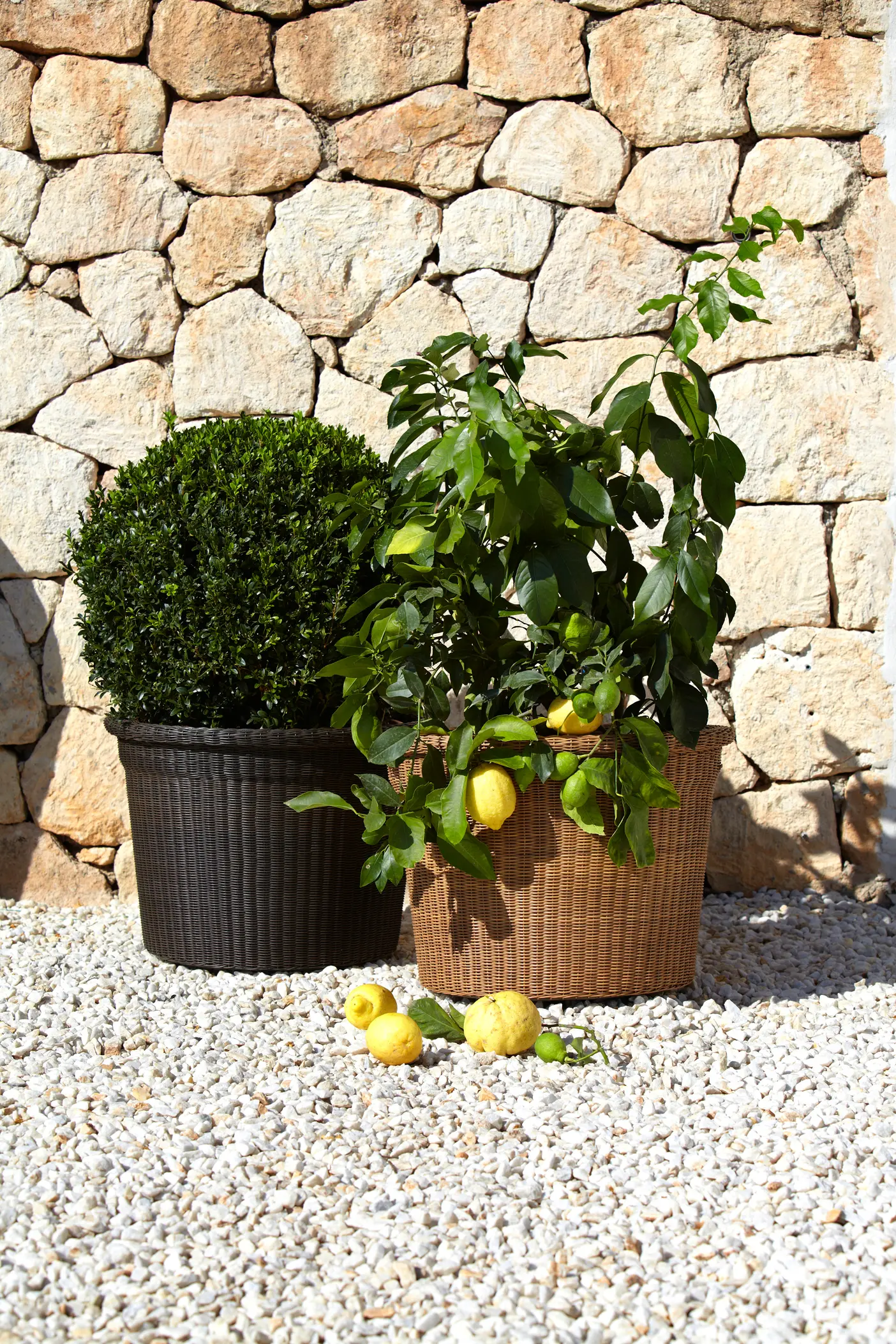 Cane-line - Botanic Pot Moccafrit