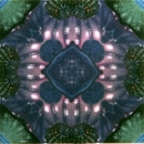 Blue Glitz 2