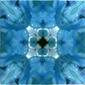 Blue Glitz 7
