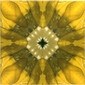 Yellow Glitz 8