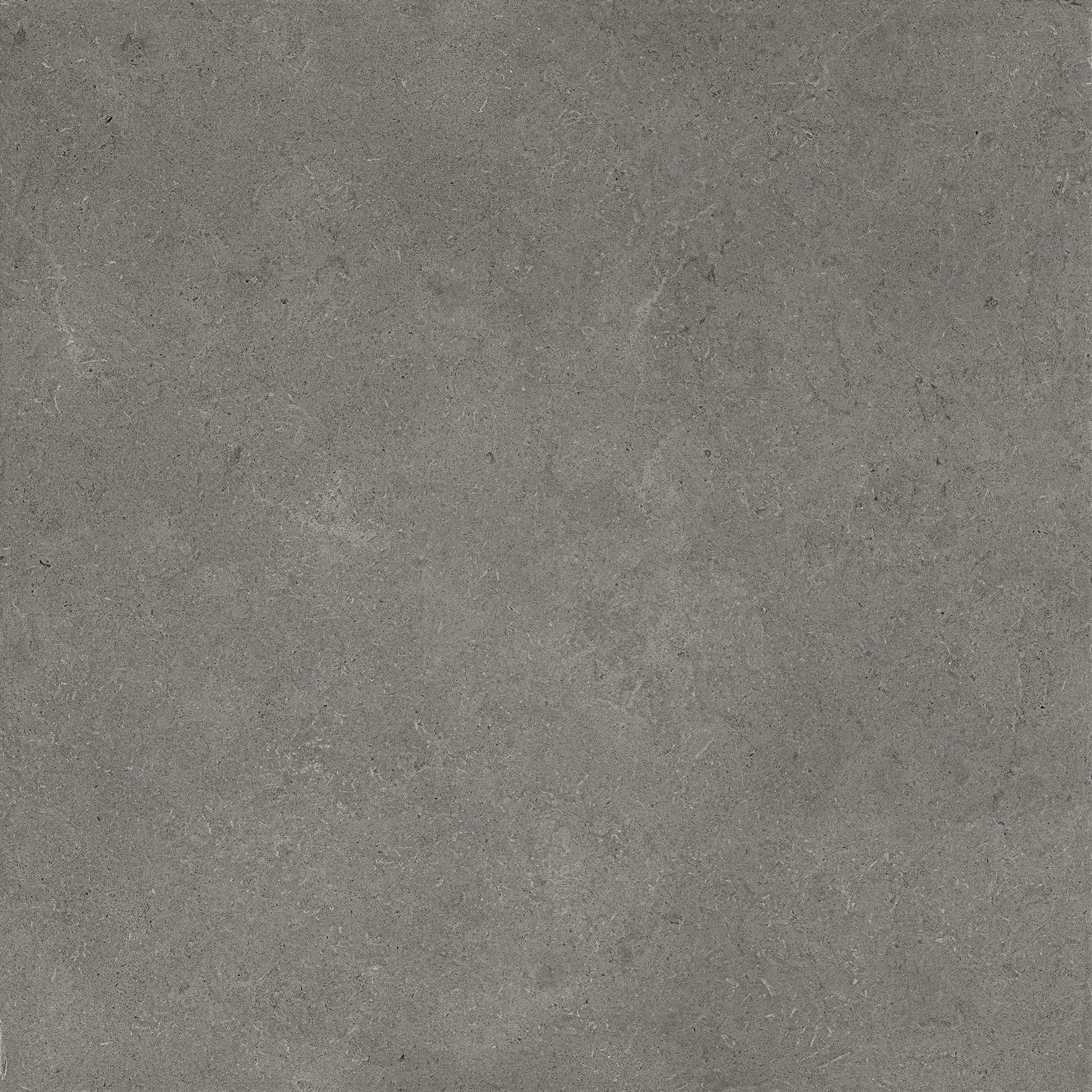Epika Grey
