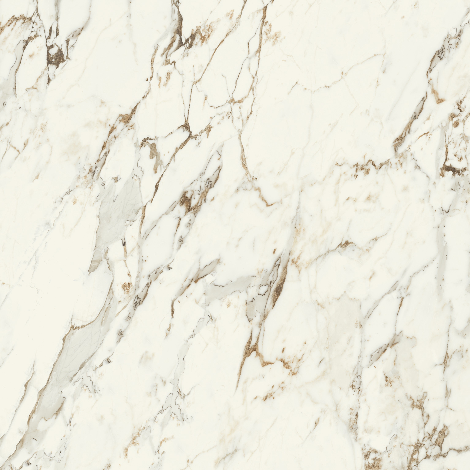 Purity of Marble Brecce Capraia