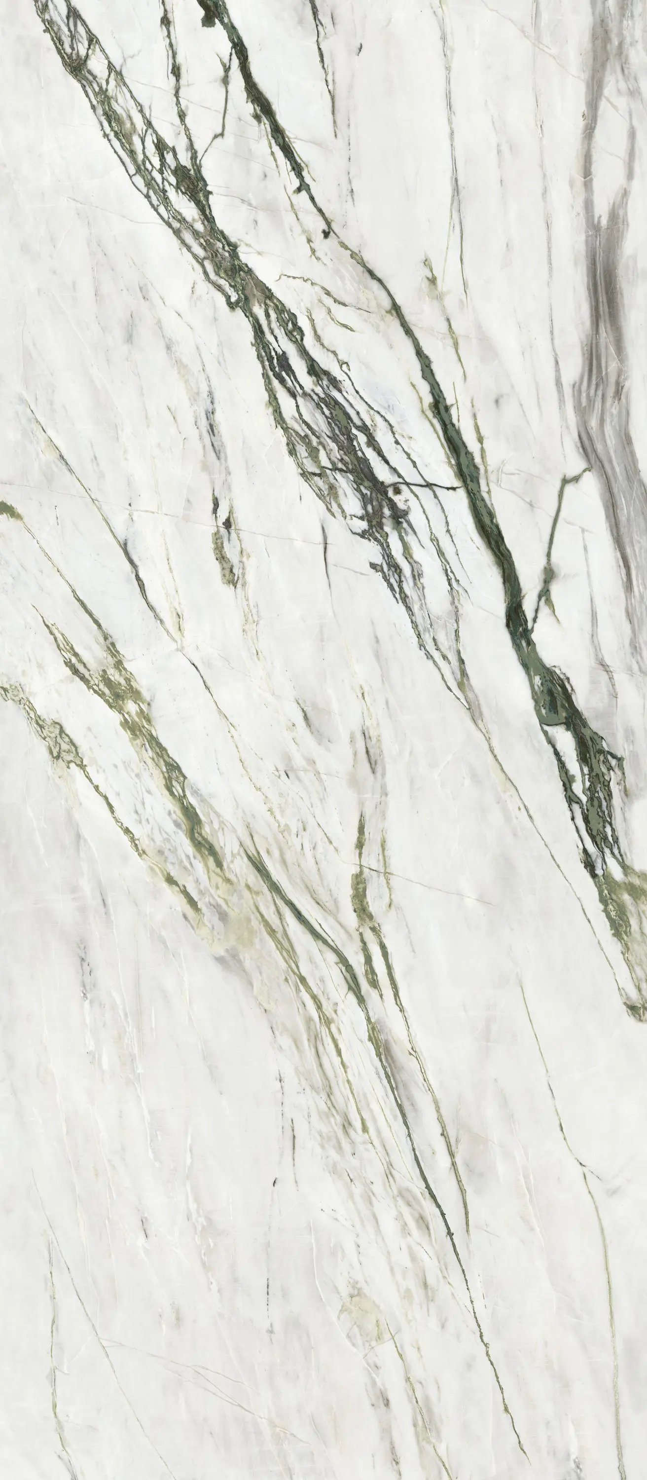 Ceramiche Supergres - Purity of Marble Elite Green Calacatta