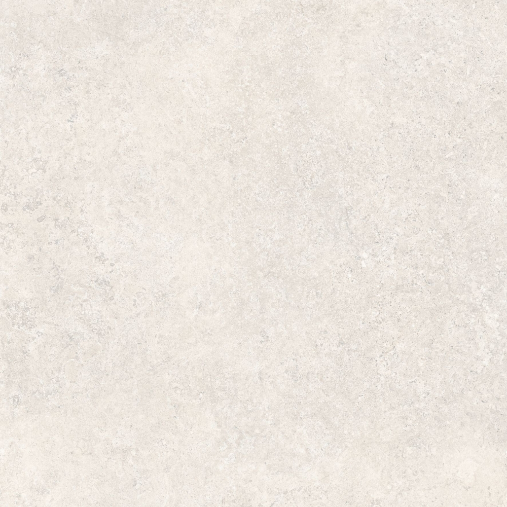 Kalkarea Ivory