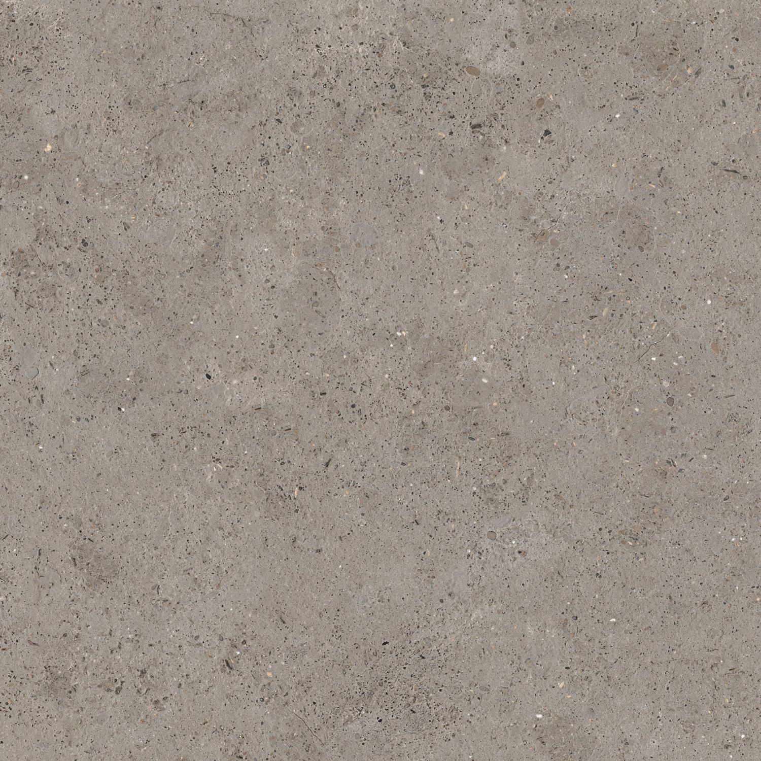 Display product Greige from manufacturer Ceramiche Supergres