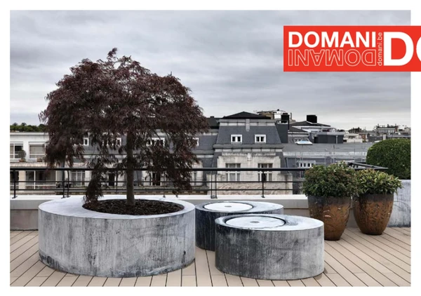 Preview image for the file Domani 2015