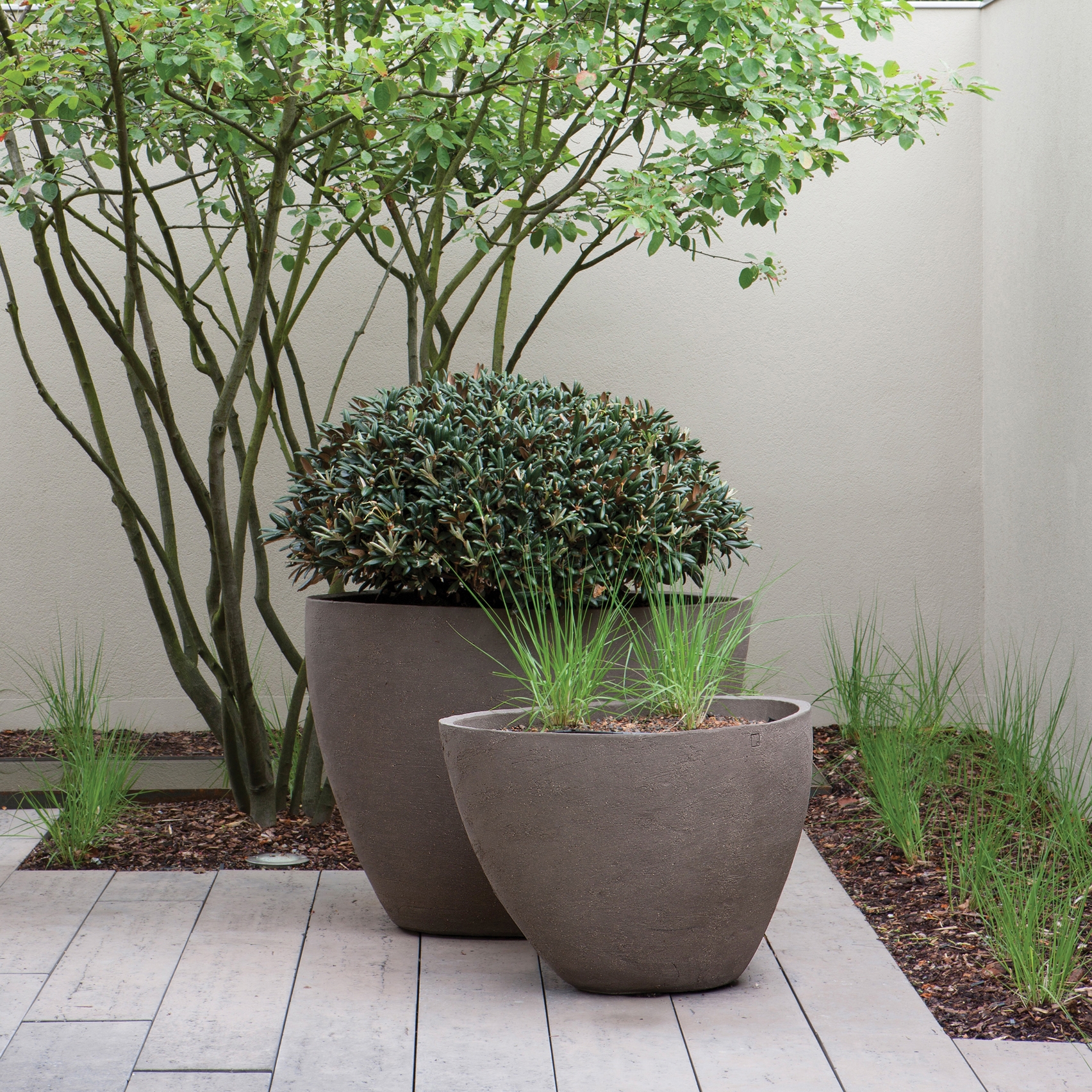 PLANTER
