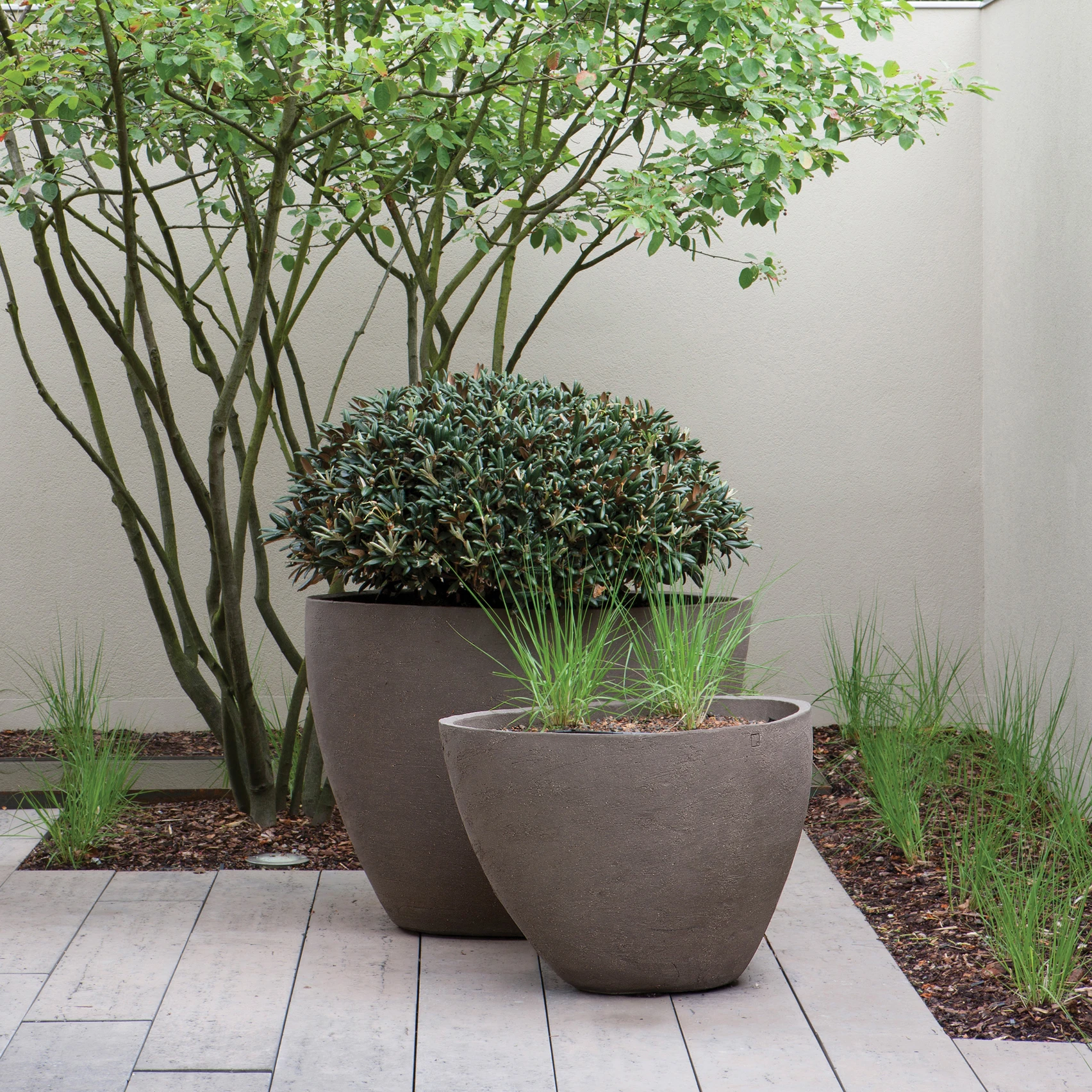 PLANTER