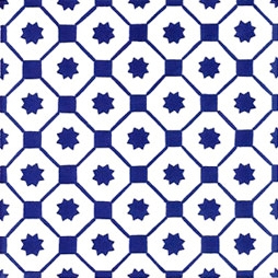 Raimonda Blu 20x20