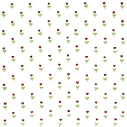 Grazia Rosso 20x20