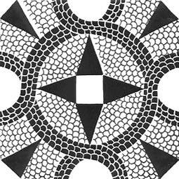 Romano Nero 20x20