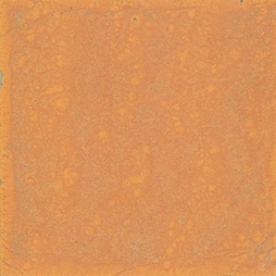 Mostra il prodotto Arancio Calipso del produttore Giovanni De Maio
